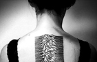 https://www.tricka.sk/tricka21/img/2013/blog/38/Joy-Divison-Unknown-Pleasures-thumb.jpg