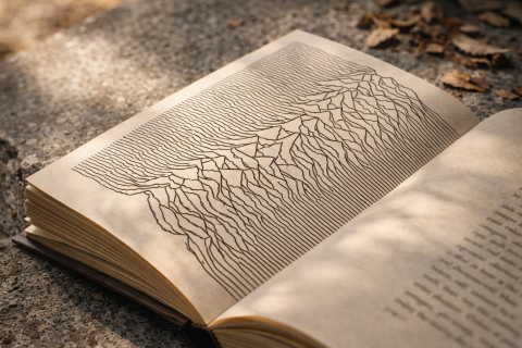 Diagram sa prvýkrát objavil v januári 1971 vo vydaní magazínu Scientific American, a je pripočítaný k Jerrymu Ostrikerovi.